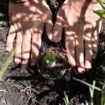 Ectagono explica cómo revertir la crisis ambiental en un escenario que parece no tener salida en el Día de la Tierra