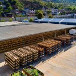 Ecofiltro: 10 años transformando la forma de beber agua hacia un futuro sostenible