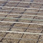 Estudio internacional revela el impacto de la ganadería industrial en las metas climáticas